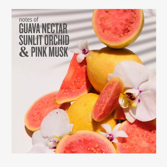 Sol de Janeiro Pink Cheirosa 48 Hair & Body Perfume Mist - 1oz - Picture 3 of 11